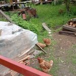phoca_thumb_m_vychzky 43 Fotogalerie